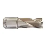 Milwaukee Frezy pierścieniowe HSS 30 mm HSSAC 17 x 30 - 1 szt. 4932343273