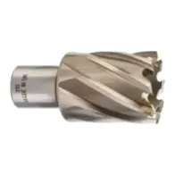 Milwaukee Frezy pierścieniowe HSS 30 mm HSSAC 31 x 30 - 1 szt. 4932343287