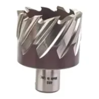 Milwaukee Frezy pierścieniowe HSS 30 mm HSSAC 48 x 30 - 1 szt. 4932371757