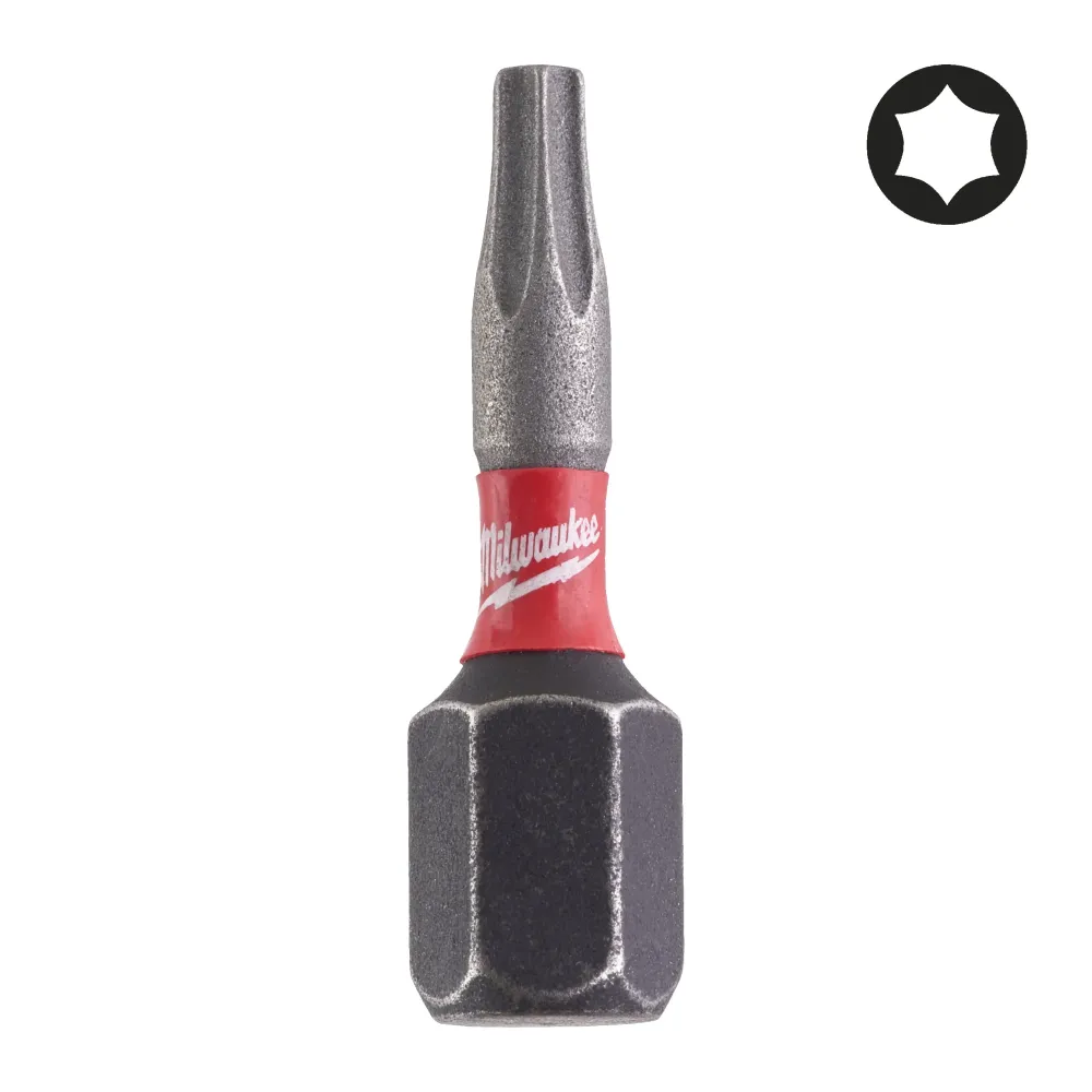 Milwaukee Bity Shockwave TX Shockwave TX10 x 25 mm - 2 szt. 4932430871